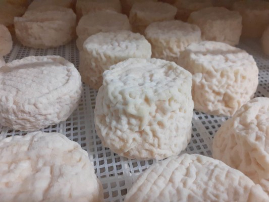 Fromages de chevre 1