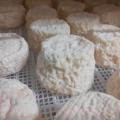 Fromages de chevre 1