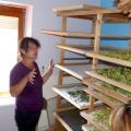 Le sechage des sommites fleuries ou feuilles est un moment essentiel et rigoureux dans les preparations photo er 1655992004